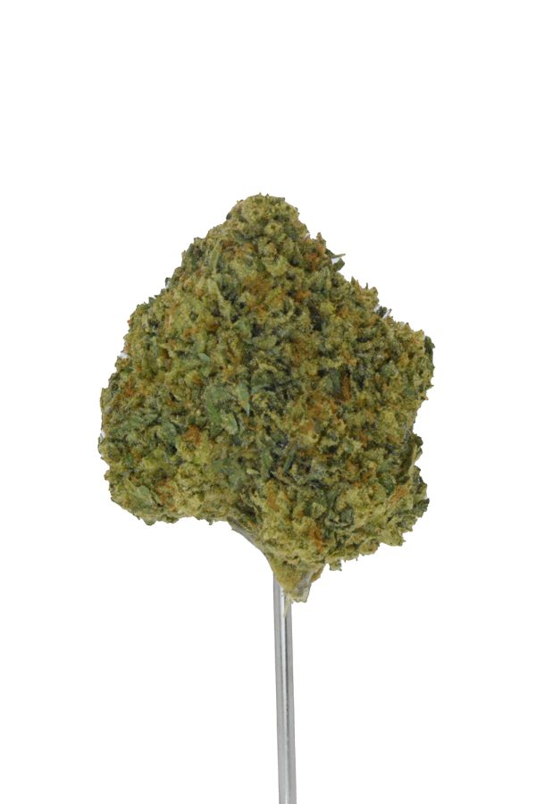 Zushi THCa Flower