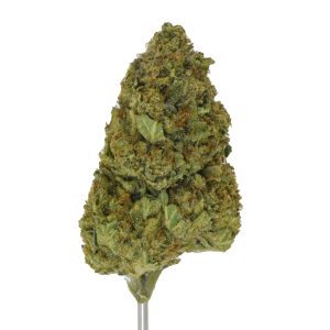 Bubba Delight THCa Flower
