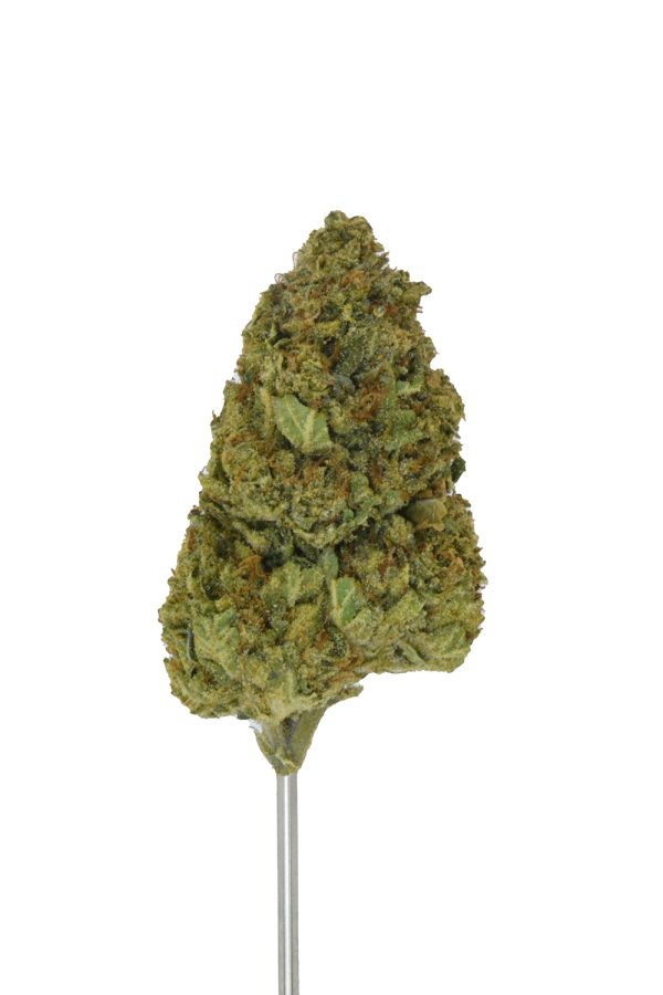 Bubba Delight THCa Flower