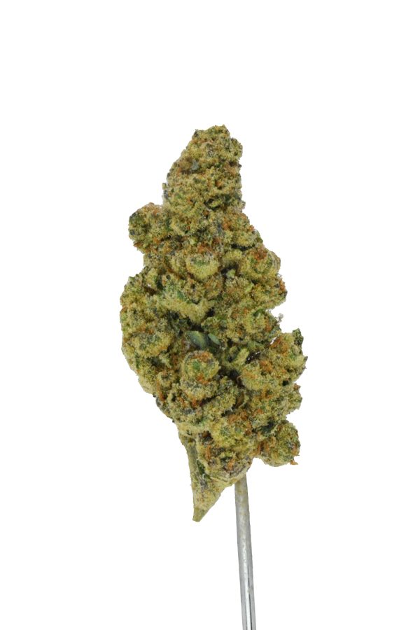 Glitter Bomb THCa Flower