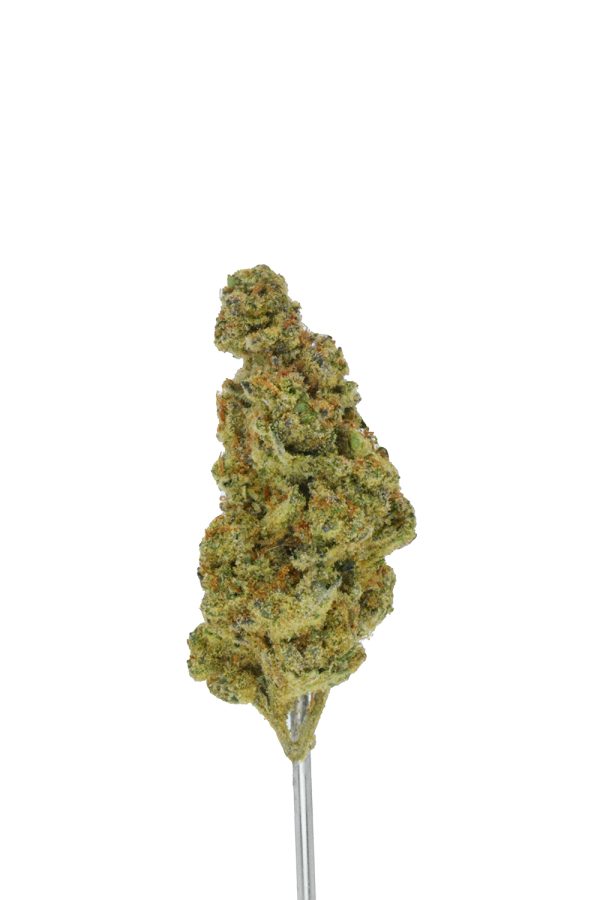 Glitter Bomb THCa Flower - Image 3