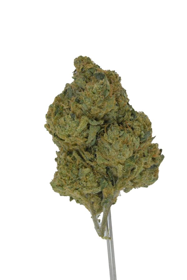 Pre 64 Runtz THCa Flower