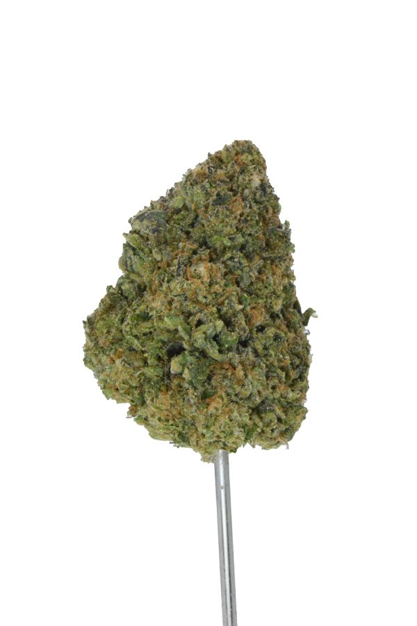 Baccio Cream Gelato THCa Flower - Image 3