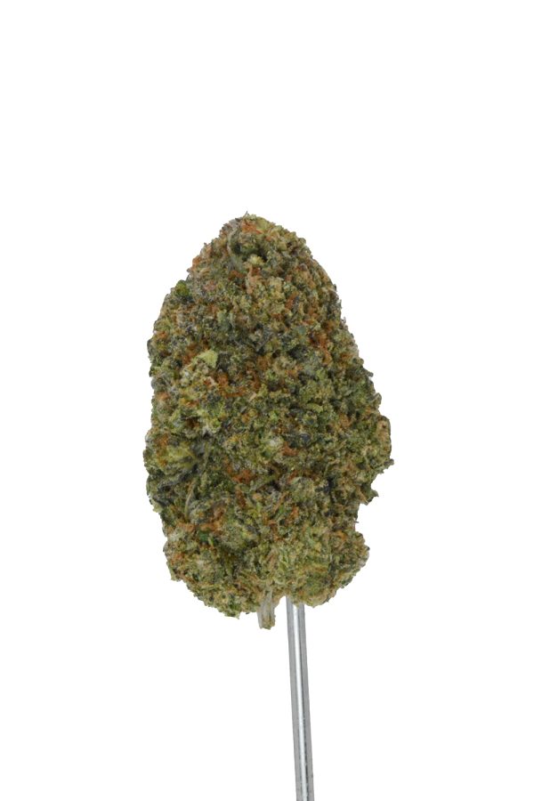 Baccio Cream Gelato THCa Flower - Image 4
