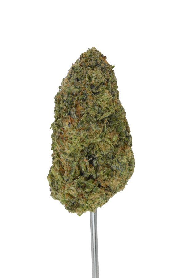 Baccio Cream Gelato THCa Flower