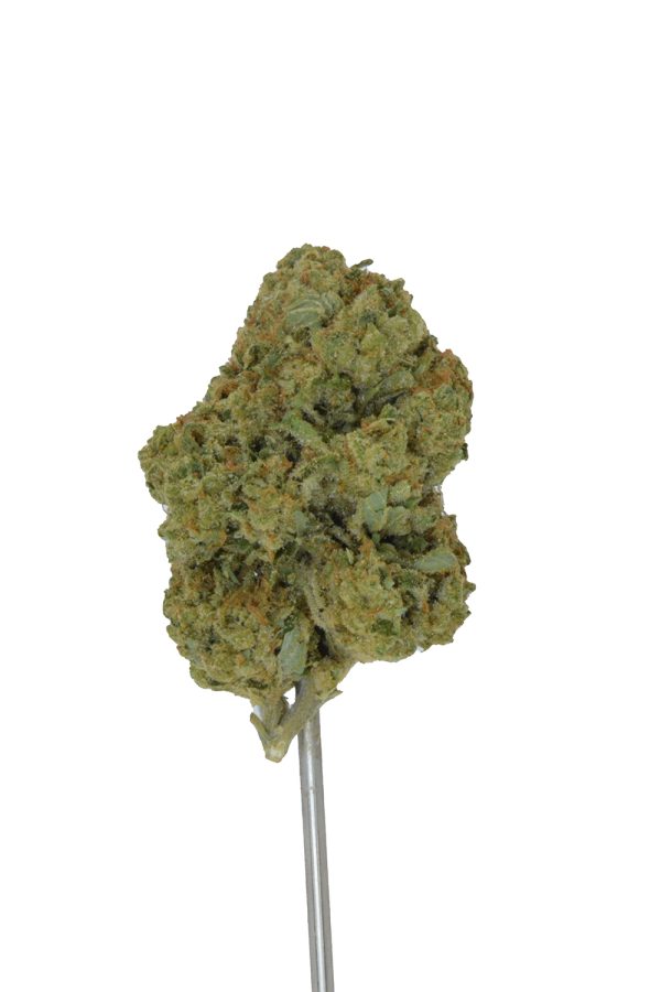 Banana Punch THCa Flower - Image 4