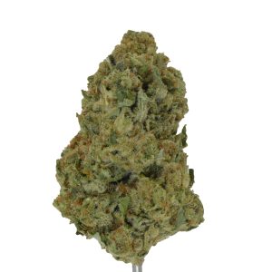 Banana Punch THCa Flower