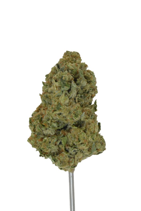 Banana Punch THCa Flower