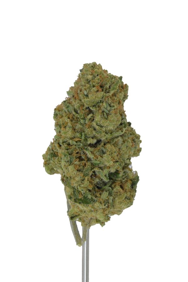 Banana Punch THCa Flower - Image 3