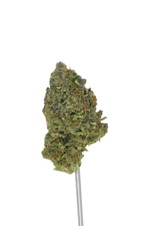 Black Truffle THCa Flower