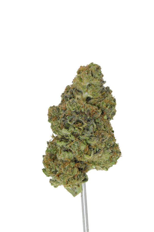 Black Truffle THCa Flower - Image 3
