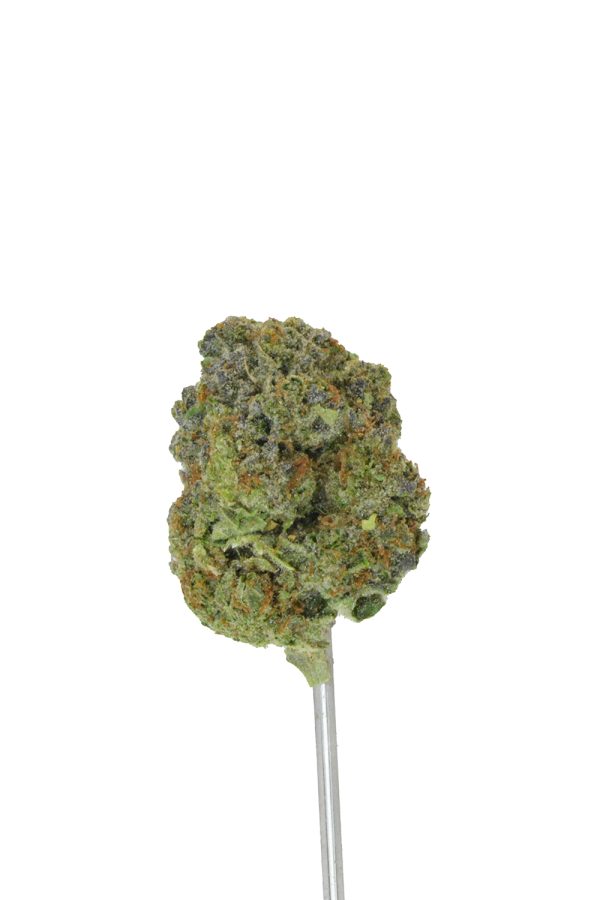 Black Truffle THCa Flower - Image 4