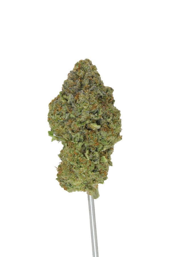 Black Truffle THCa Flower - Image 5