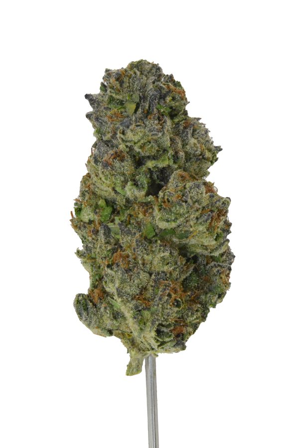 Cereal Milk THCa Flower - Image 2