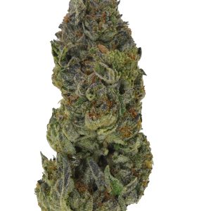 Cereal Milk THCa Flower