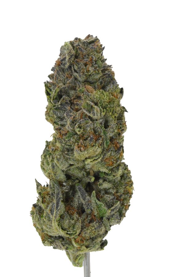 Cereal Milk THCa Flower