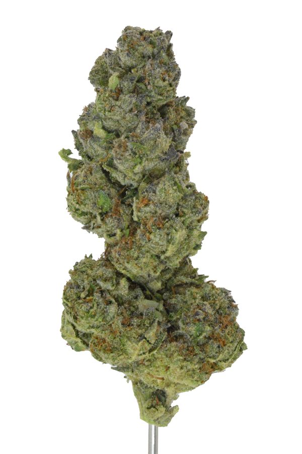 Cereal Milk THCa Flower - Image 4