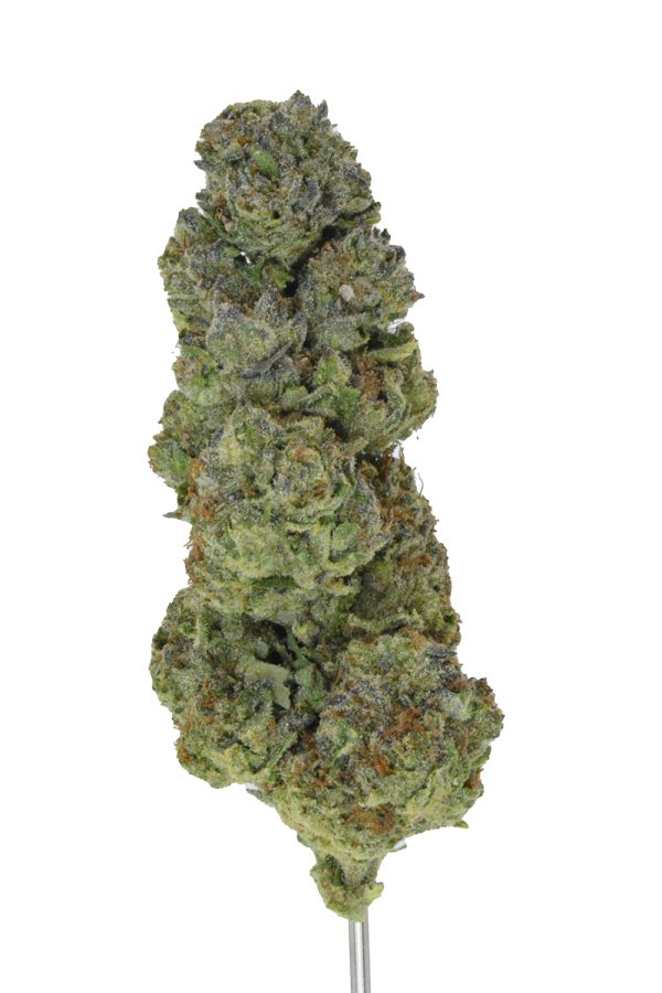 Cereal Milk THCa Flower - Image 5