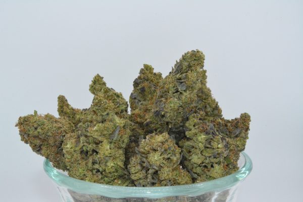 Gary Oasis THCa Flower - Image 5