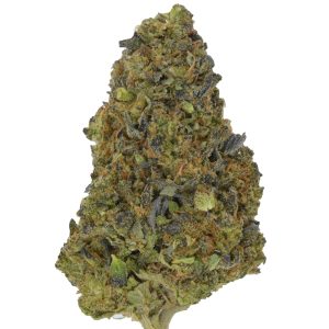 Gary Oasis THCa Flower