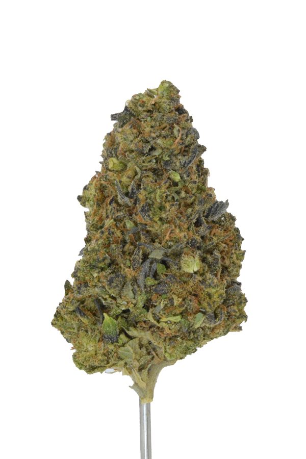 Gary Oasis THCa Flower