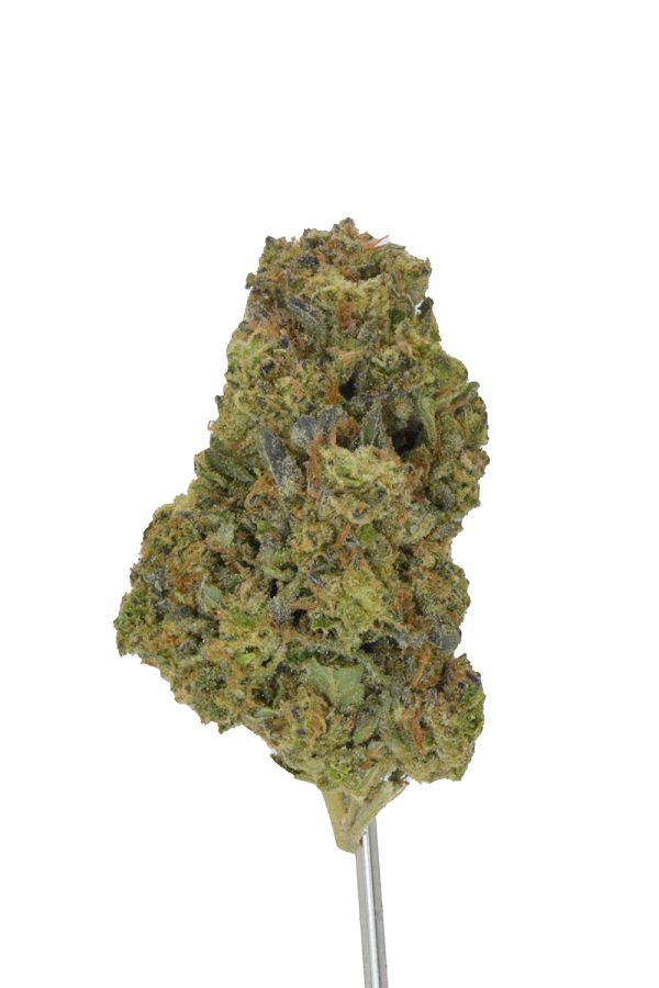 Gary Oasis THCa Flower - Image 3