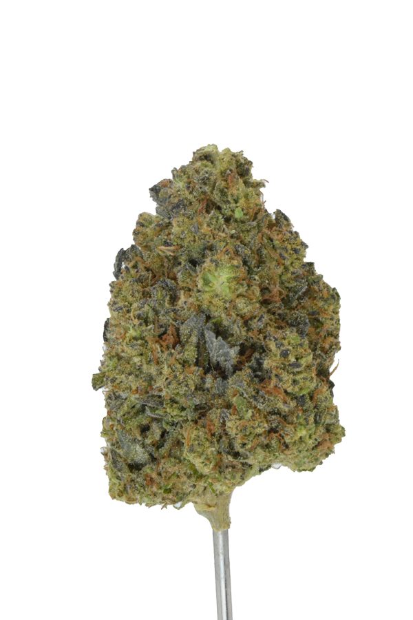 Gary Oasis THCa Flower - Image 2