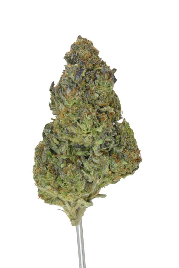 Ice Cream Cake THCa Flower