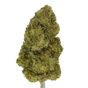 Magnetaz THCa Flower