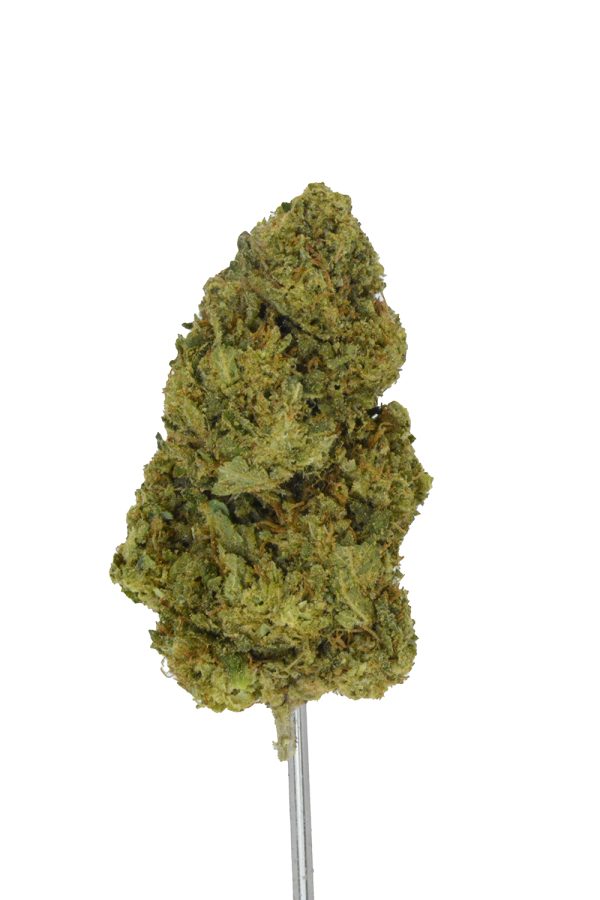 Magnetaz THCa Flower