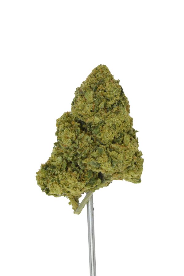 Magnetaz THCa Flower - Image 4