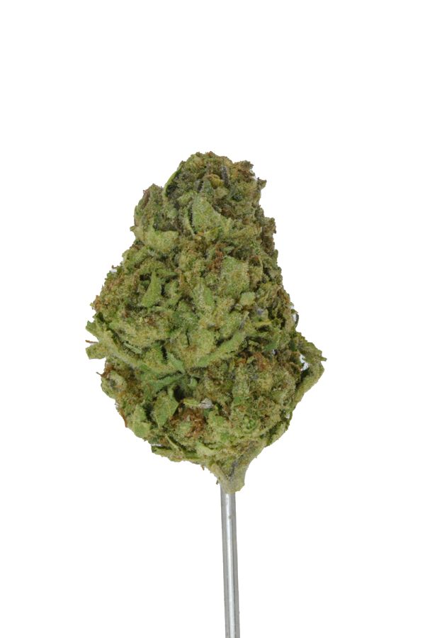 Permanent Marker THCa Flower - Image 4