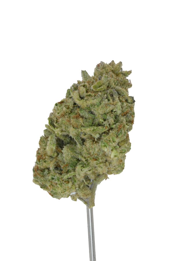 Platinum THCa Flower - Image 4