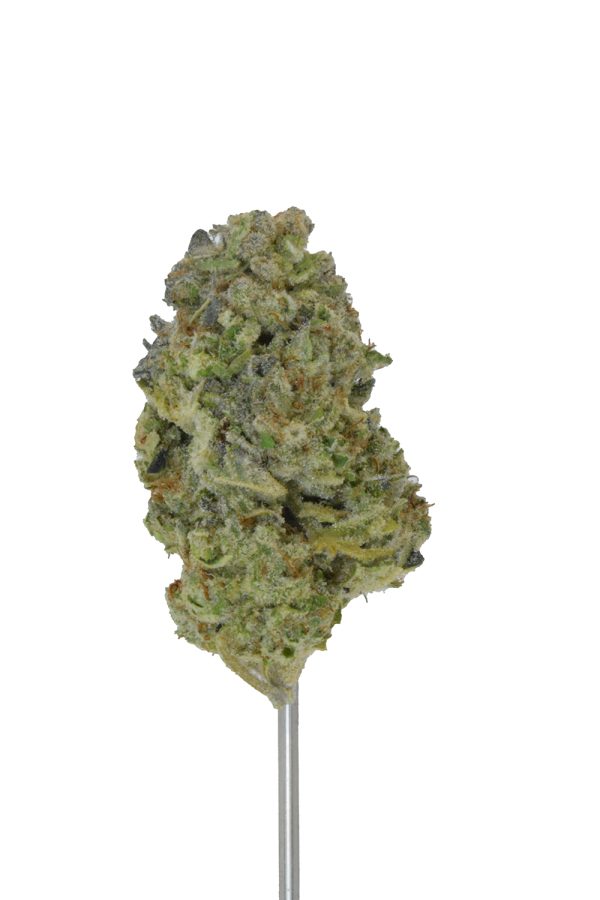 Platinum THCa Flower - Image 5