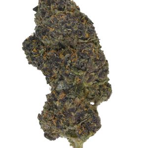 Purple Mimosa THCa Flower