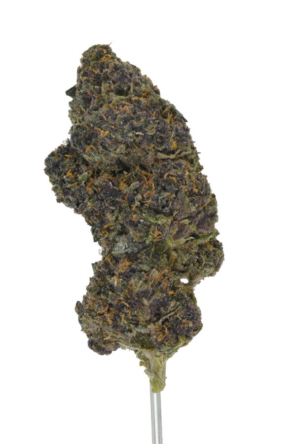 Purple Mimosa THCa Flower