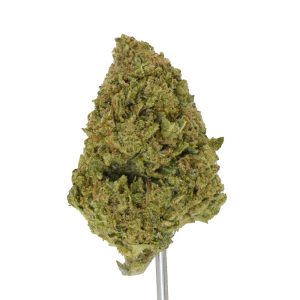 Purple Urkle x Trainwreck THCa Flower