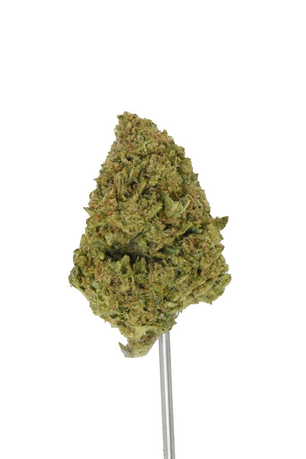 Purple Urkle x Trainwreck THCa Flower