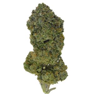 Venom OG r1 THCa Flower