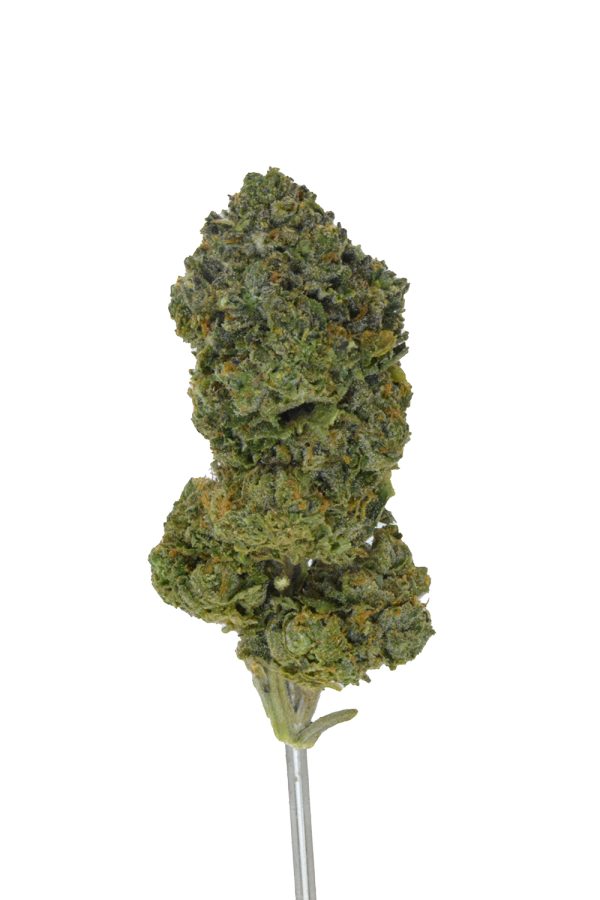 Venom OG r1 THCa Flower
