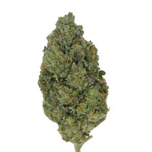 Venom OG r2 THCa Flower
