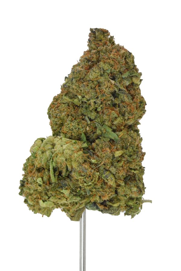 Gelato #33 THCa Flower - Image 2