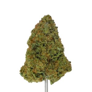 Gelato #33 THCa Flower