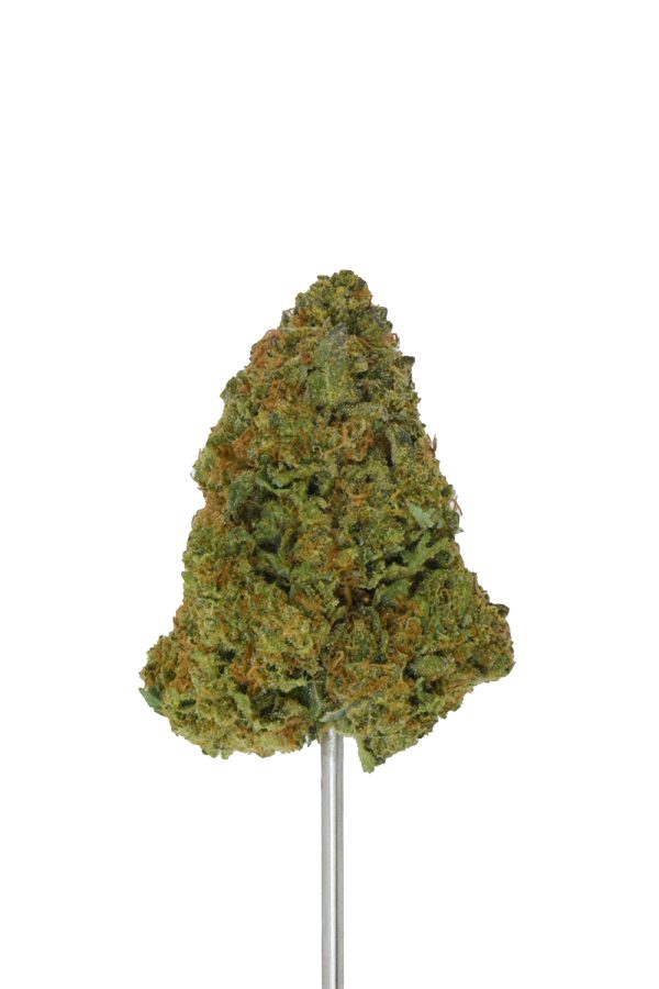 Gelato #33 THCa Flower