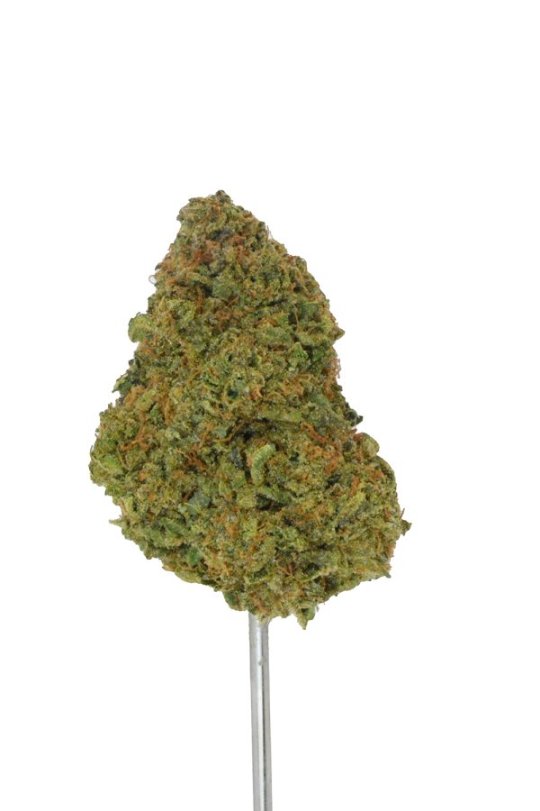 Gelato #33 THCa Flower - Image 4
