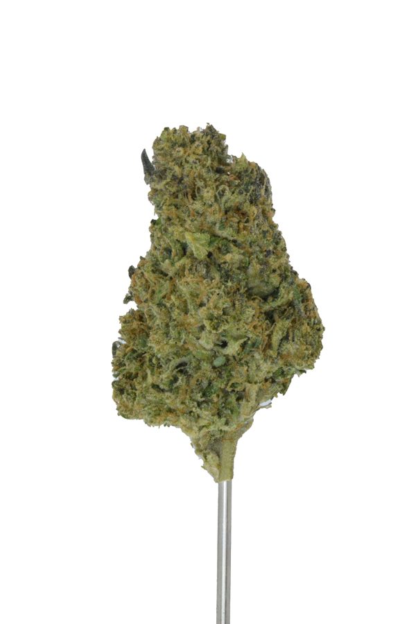 Pressure THCa Flower - Image 3
