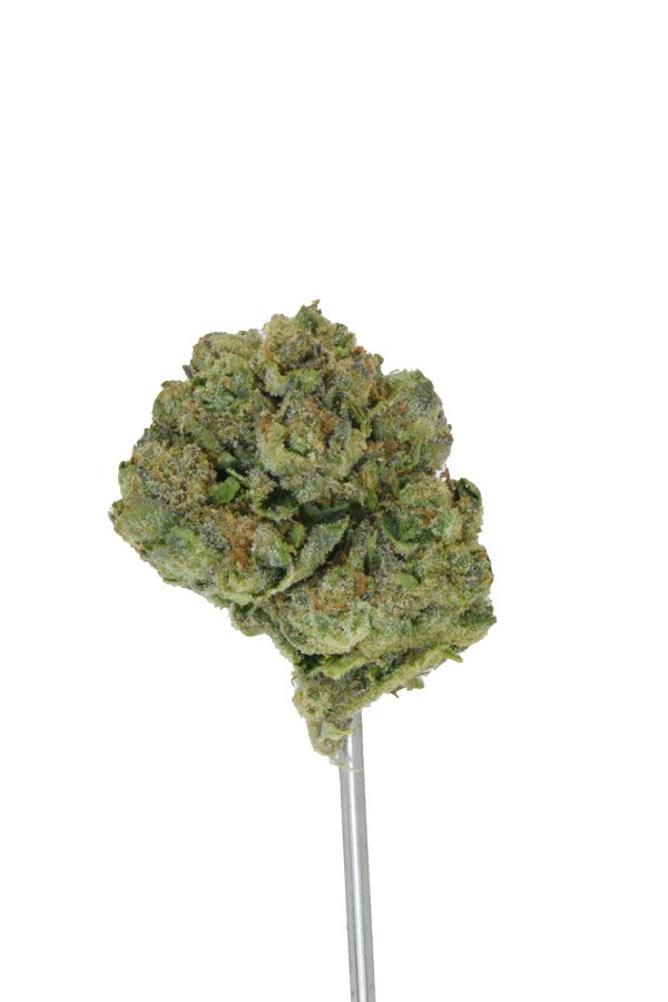 Gumbo Runtz THCa Flower - Image 4