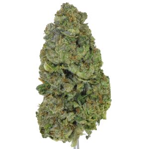 Gumbo Runtz THCa Flower