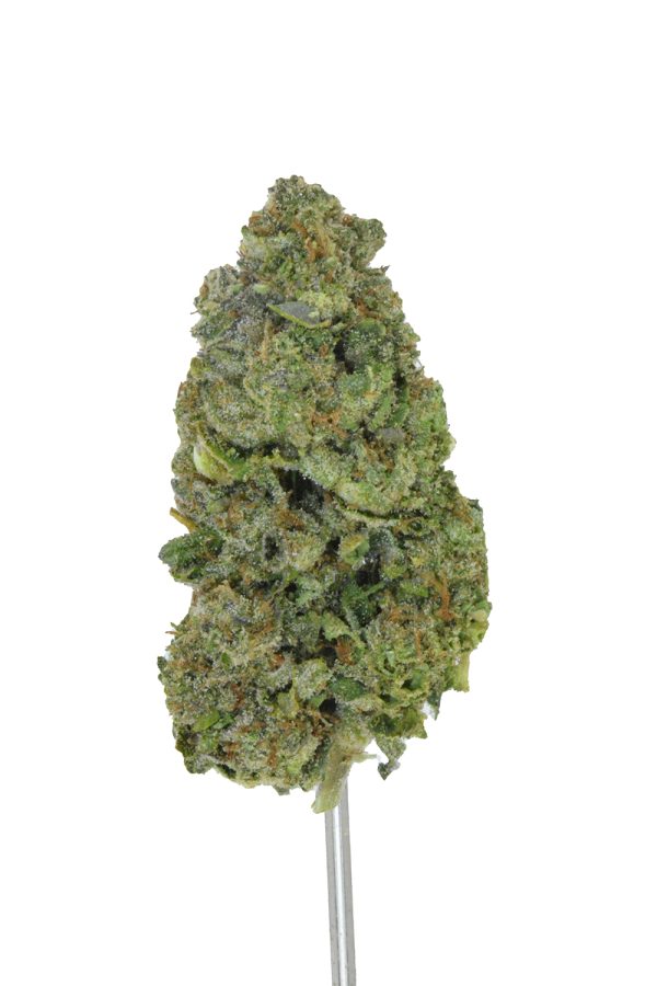 Gumbo Runtz THCa Flower