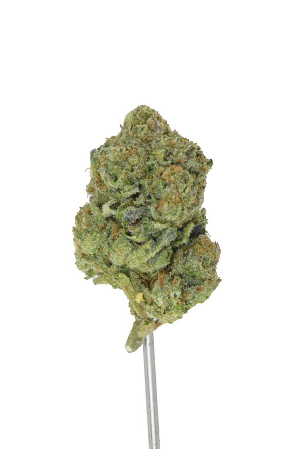 Gumbo Runtz THCa Flower - Image 3